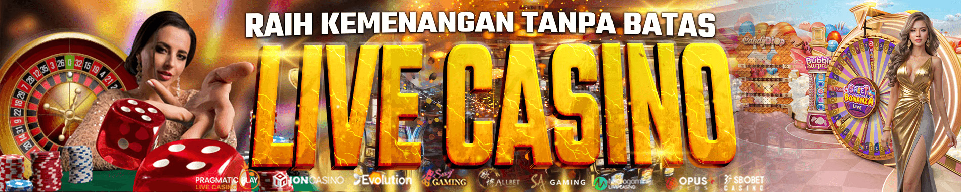 BANNER CASINO PENASLOT